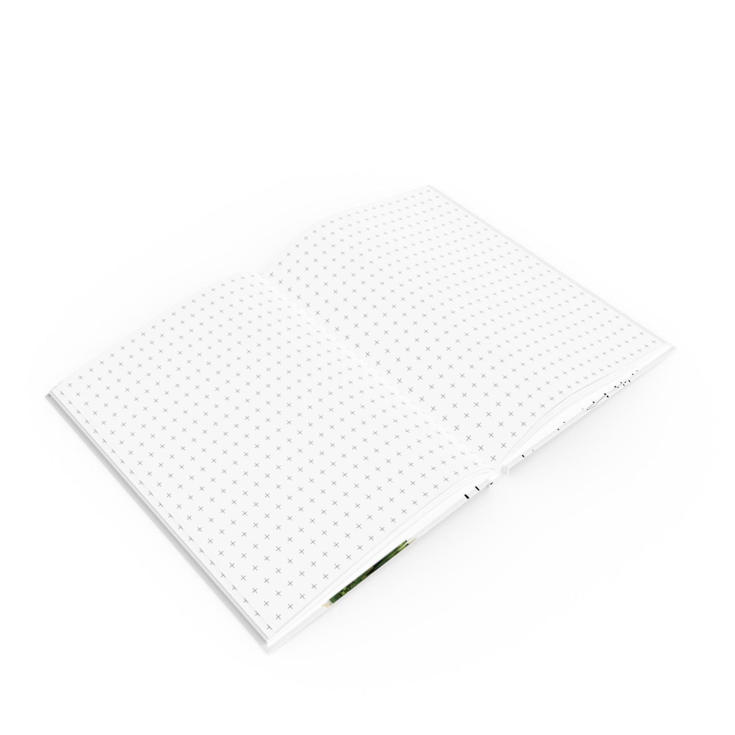 The Miracle of Flowers