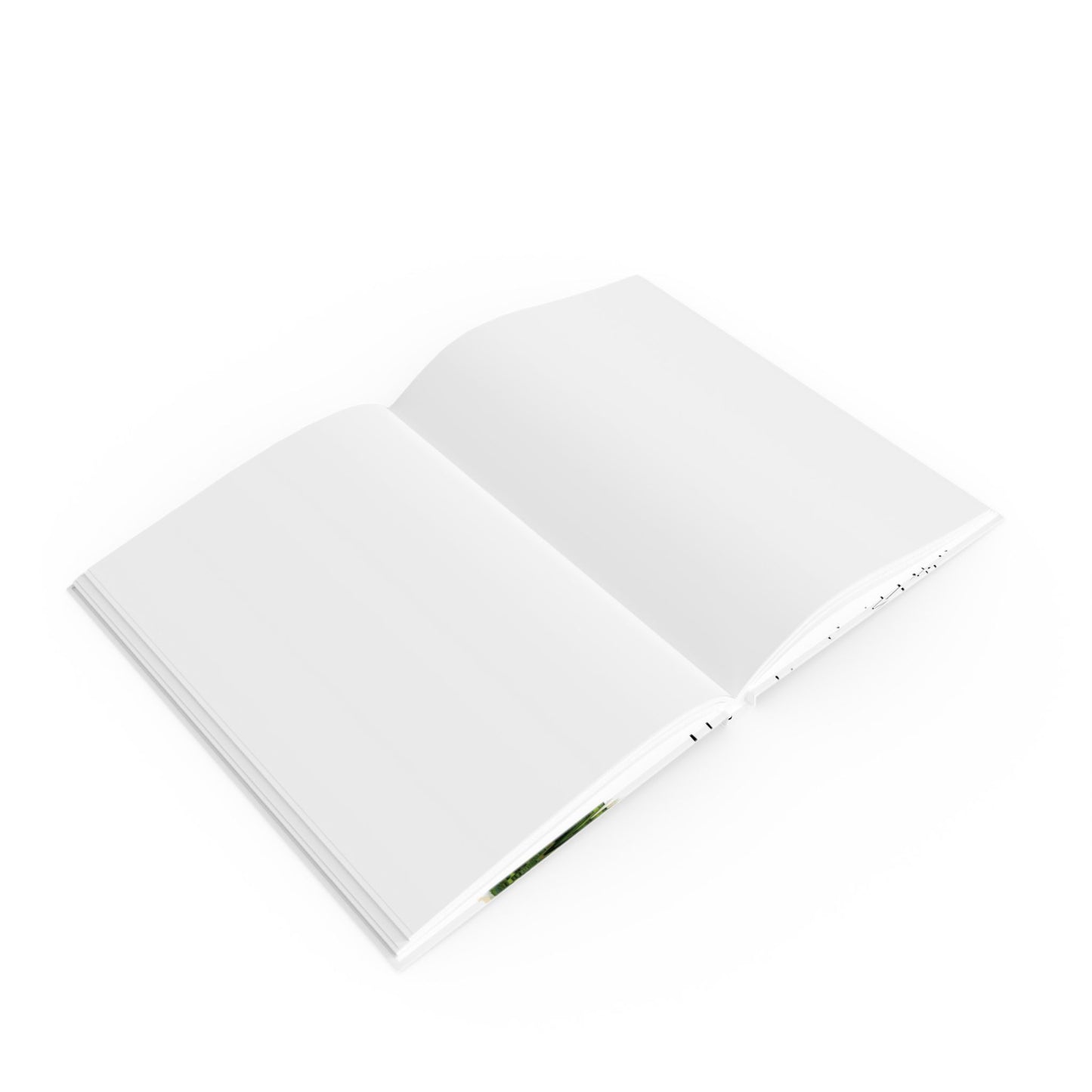 The Miracle of Flowers